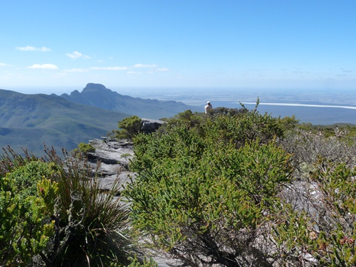 Bluff Knoll